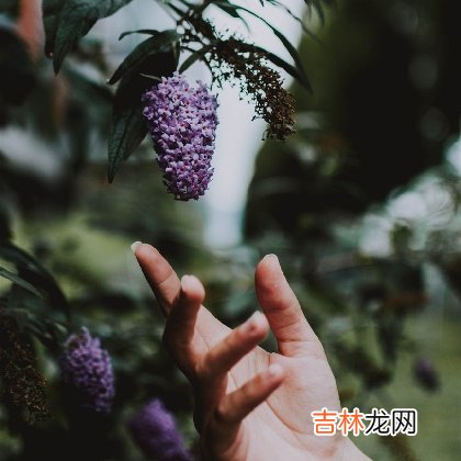 扎心测试：离开他你能活得更好吗