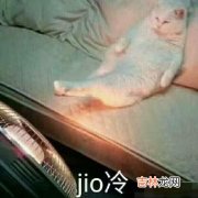 泡jio是什么梗