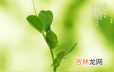2020庚子鼠年立春出生的女孩缺金取名起什么字？