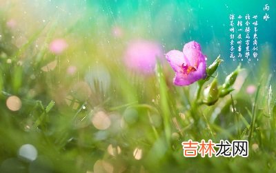 2020年雨水出生男孩五行缺水起名字带水字旁的好名字