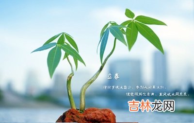 2020庚子年立春出生的男孩缺水起名带什么旁?
