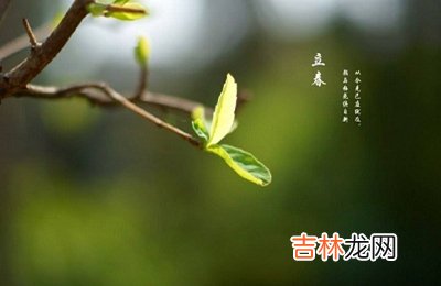 2020庚子年立春出生的男孩缺水起名带什么旁?
