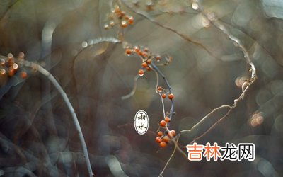 五行取名：2020鼠年雨水出生的男孩八字缺木起名