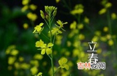 2020鼠年立春出生的女孩缺水应该起什么名字？