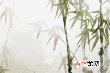 测你去摆地摊能收获什麽