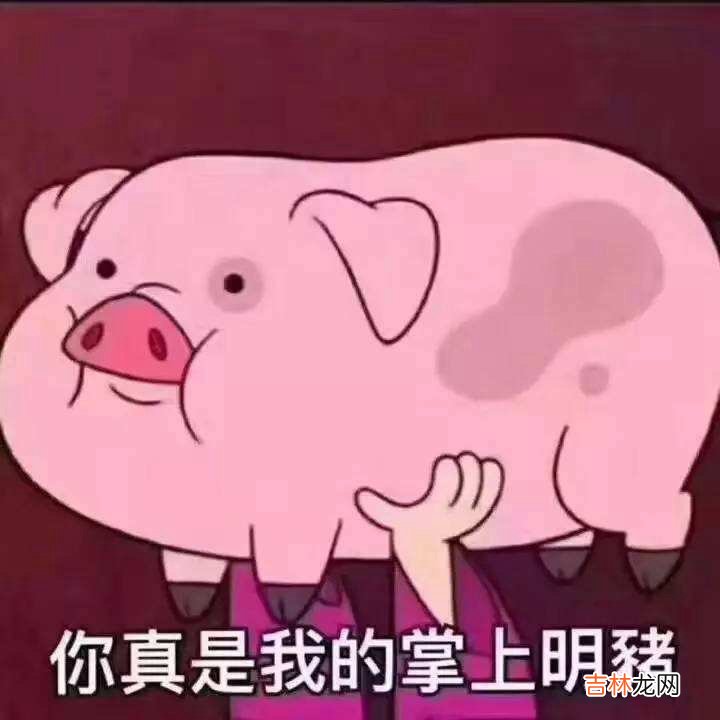 精致的猪猪女孩是什么梗