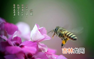 2020年惊蛰节气出生女孩五行缺水起名字大全