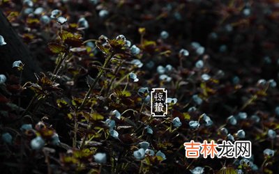 2020年惊蛰节气出生女孩五行缺水起名字大全