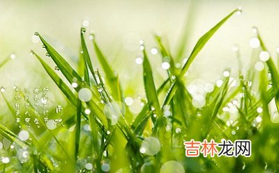 2020年雨水是哪天？雨水出生的女孩起名怎么起？