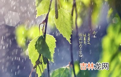 2020年雨水是哪天？雨水出生的女孩起名怎么起？