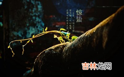 2020年惊蛰生的八字五行缺土男孩起名怎么起名？