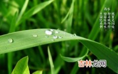 2020年雨水出生女孩五行缺金起名有哪些好的推荐？