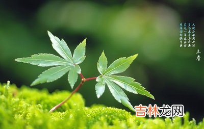 喜用神起名：2020年立春出生的宝宝名字推荐