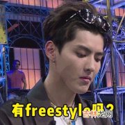 freestyle是什么梗