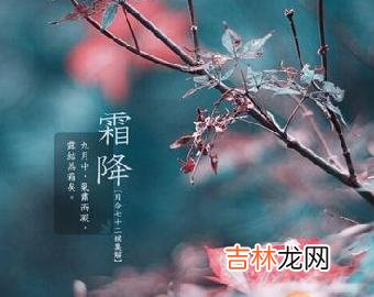 霜降出生的人命运：2019年10月24日霜降出生宝宝一生命运！