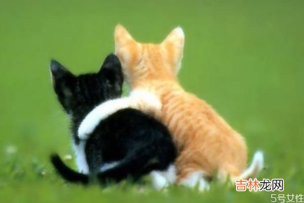 现实的婚姻 先婚后爱