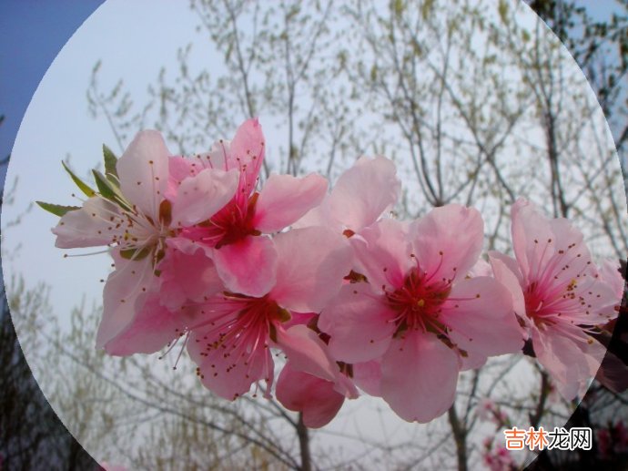 真正免费八字终身详批 算命最准的免费网站_免费