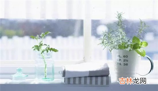 属羊的人霜降出生命好不好,婚姻运势如何?