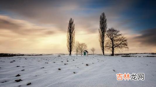 11月立冬出生的人命运详解,2019年立冬是不是求嗣吉日?