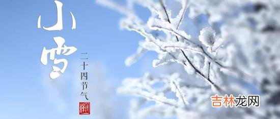 不同年份小雪出生属鼠人命运如何，小雪出生宝宝命运解析