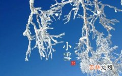 不同年份小雪出生属鼠人命运如何，小雪出生宝宝命运解析