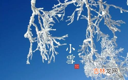 不同年份小雪出生属鼠人命运如何，小雪出生宝宝命运解析