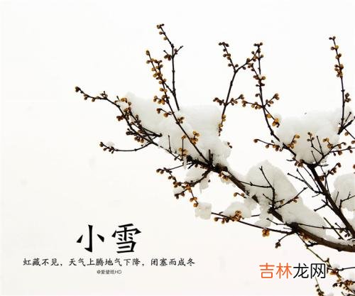 2019年小雪出生的猪宝宝是什么星座,性格命运好不好?