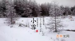 11月22日小雪2019年出生的宝宝是什么生肖，2019年小雪是适合求子吗？