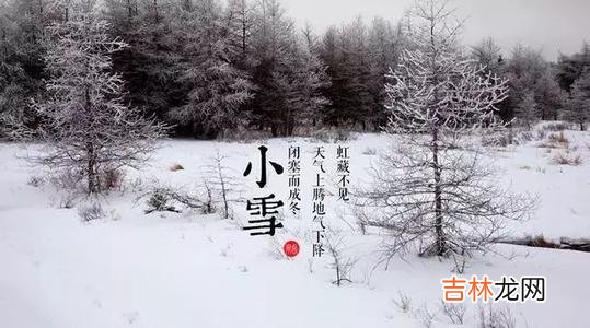 11月22日小雪2019年出生的宝宝是什么生肖，2019年小雪是适合求子吗？