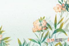 测测你到几岁才能找到人生的定义