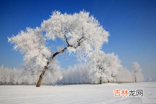 5—6点 小雪十二时辰命运解析：2019年卯时出生的孩子命如何？