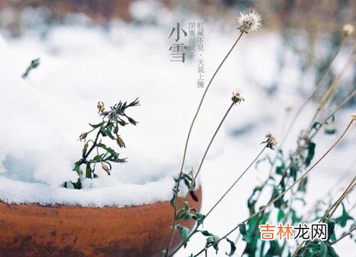 节气小雪时辰看命运：2019年阴历十月二十六日小雪酉时出生宝宝命理