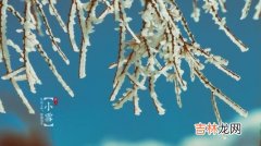 24节气出生宝宝命运：小雪2019年未时出生的宝宝命运查询！