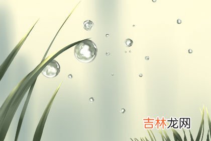 测终其一生 你能活出想要的样子吗