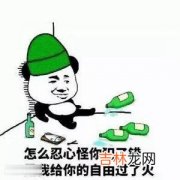 是我给你的自由过了火是什么梗