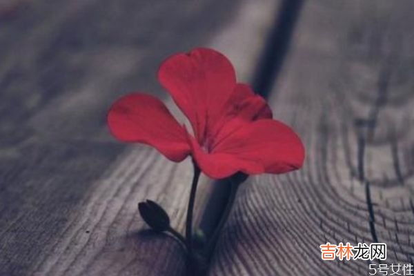 什么样的人不能嫁 常见的择偶标准有什么