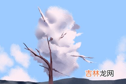 免费测算你2021年正财偏财哪个更旺