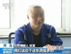 我们东北人都是黑社会 东北那么多黑社会