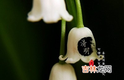 2020清明节怀孕什么时候生？清明节出生喜金男孩起名