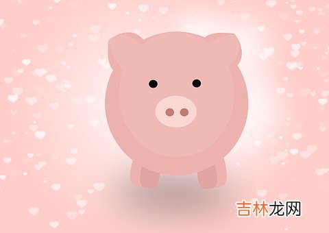 2020庚子年生肖猪运势如何，运程运势分析