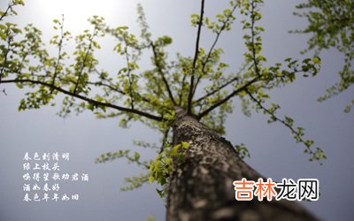 2020年清明节出生带清字的女孩好听名字推荐