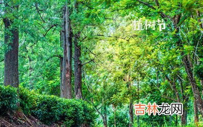 喜用神起名：适合2020年植树节出生的男孩的好名字