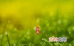 2020鼠年谷雨节气出生的宝宝取名乳名“谷雨”好吗？