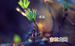 节气起名：2020鼠年谷雨出生的男孩八字缺木起名