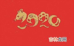 2020生肖鼠年春节出生的属鼠人命运如何？