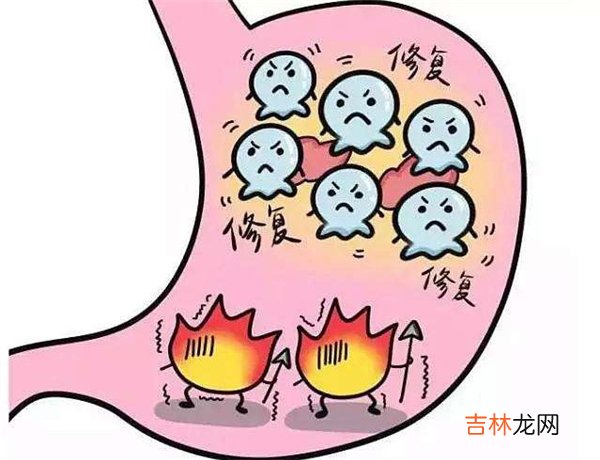 姑娘果为什么叫姑娘-姑娘果的名字由来是什么