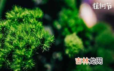 2020鼠年植树节出生女孩名字用字推荐