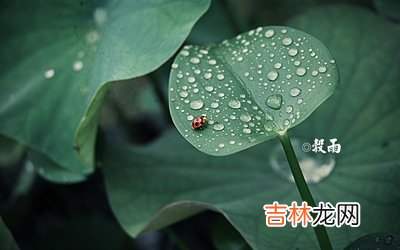 2020庚子鼠年谷雨出生缺火男孩名字大全霸气好名字