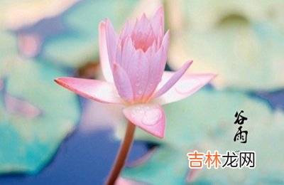 2020年4月19日谷雨节气出生女孩五行缺金起名推荐