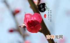 2020庚子鼠年清明出生缺土男孩大气好名字